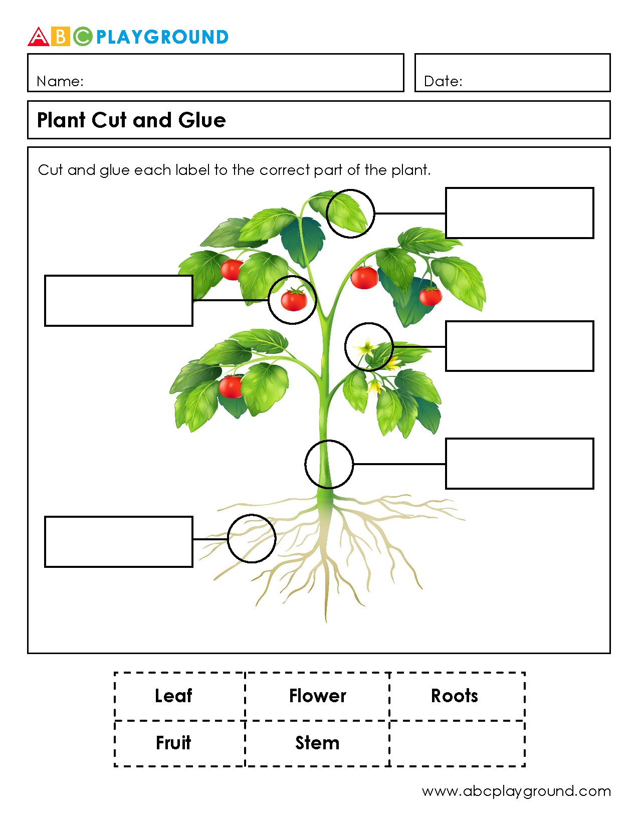 Plant Parts Cut and Glue Activity Worksheet
