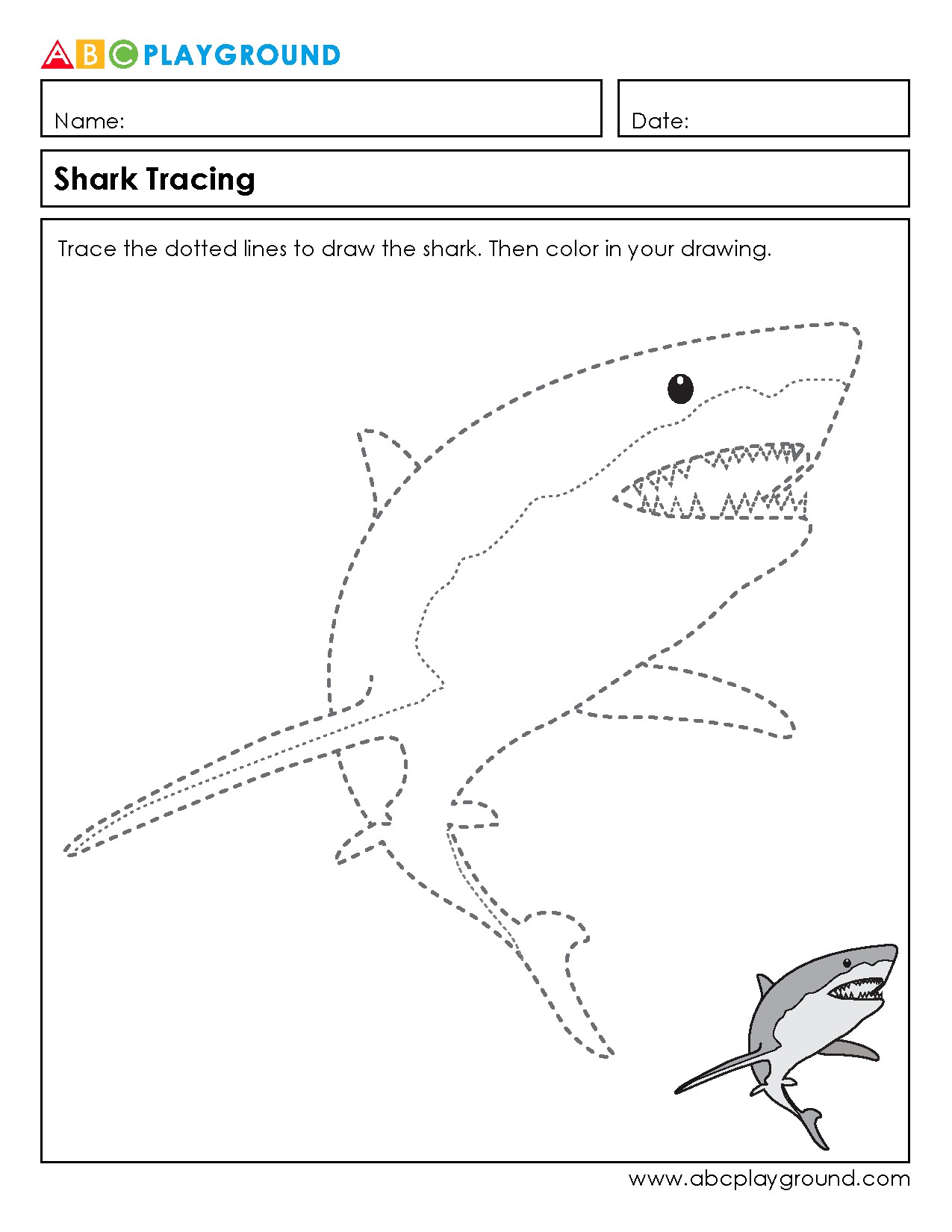 Shark Tracing and Coloring Activity Worksheet