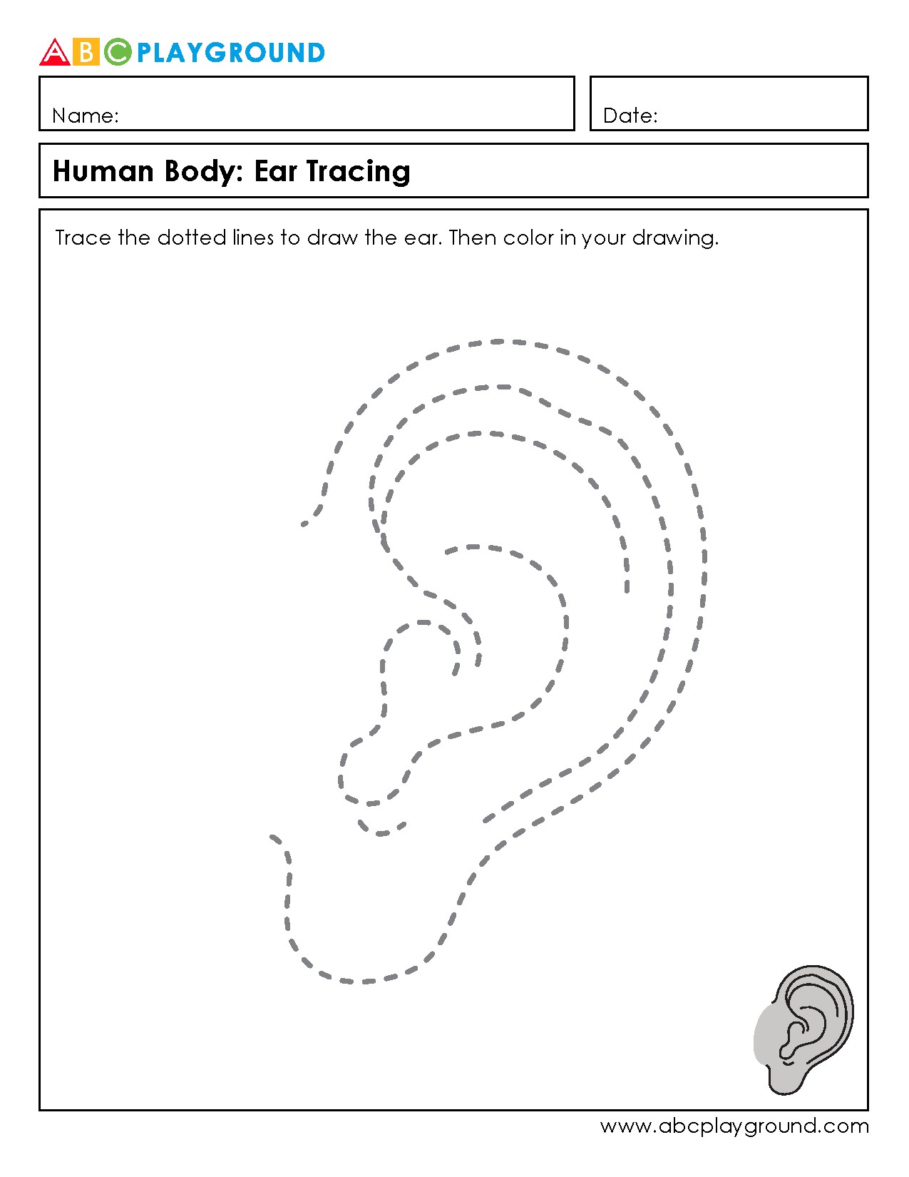 Human Body Ear Tracing and Coloring Activity