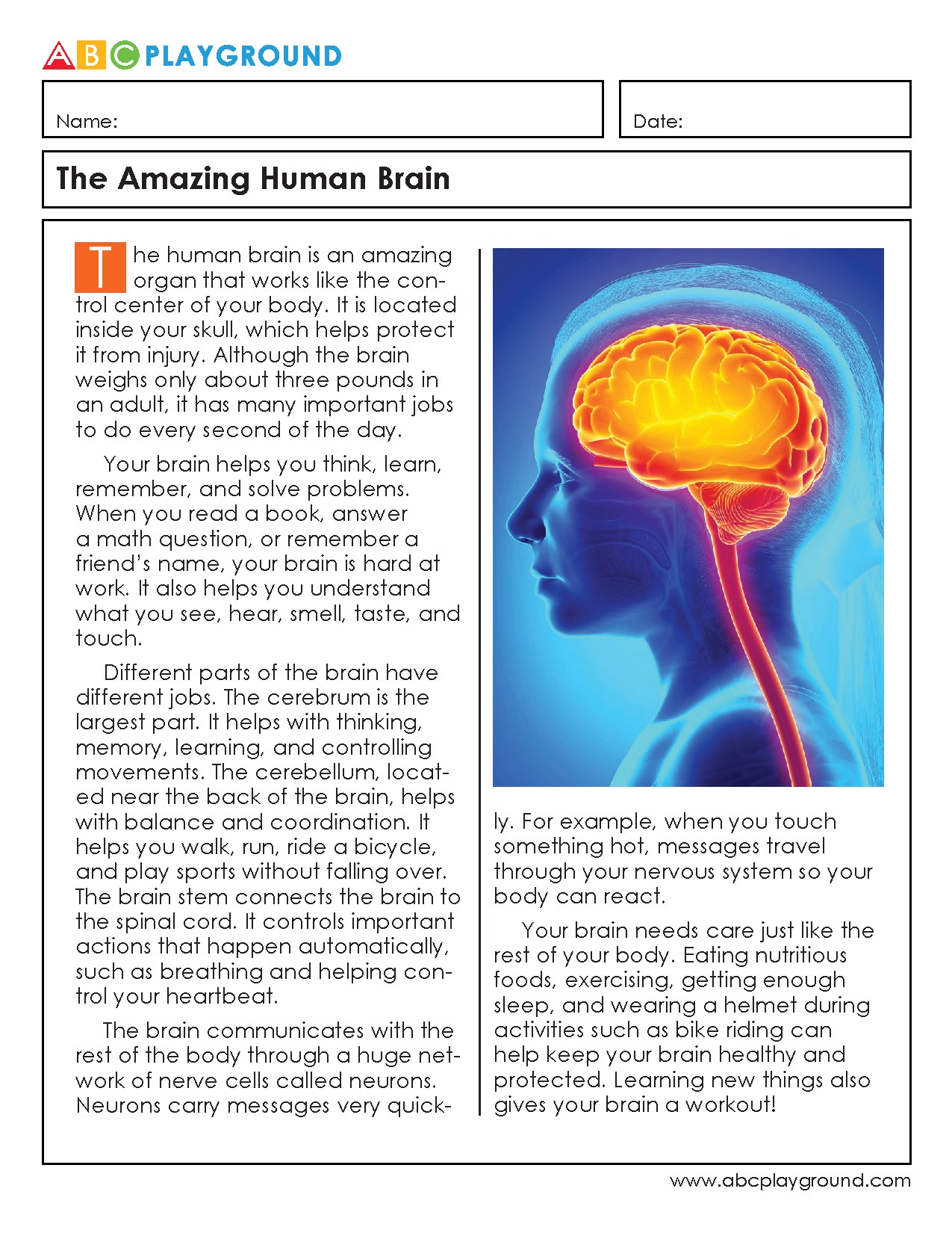 Discover How the Human Brain Works and Stays Healthy